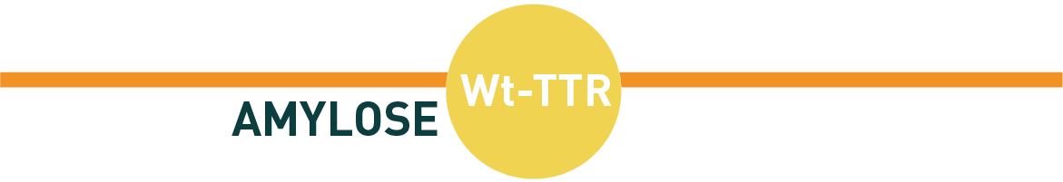 TitreWTTTR