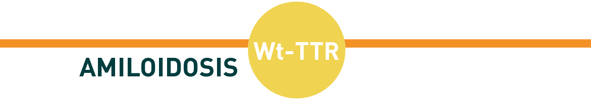Titulo Wt-TTR